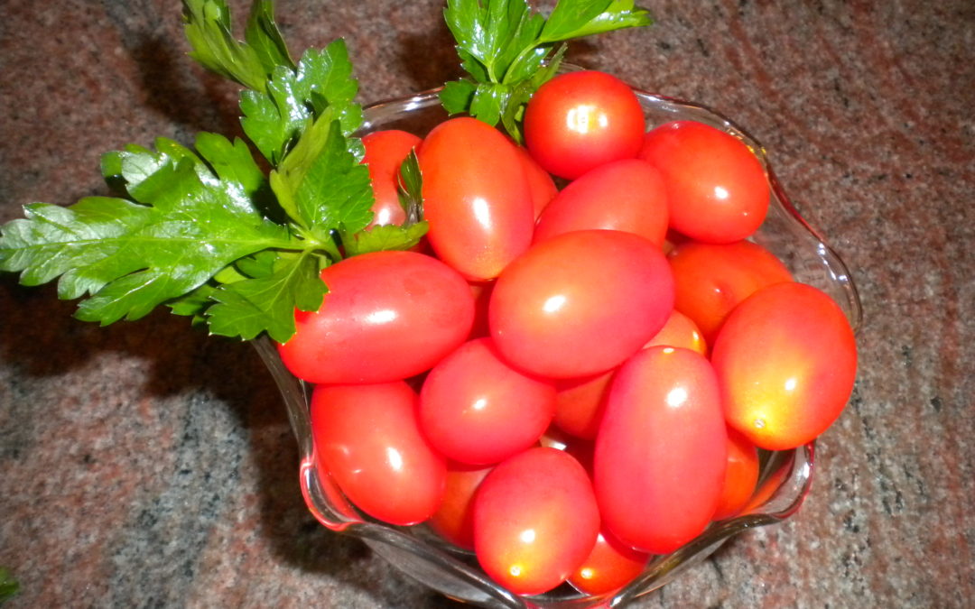 More tomato love