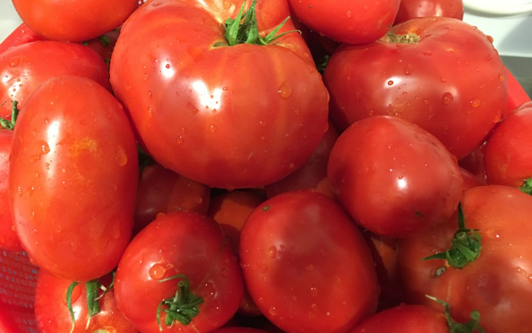 Enjoying the Harvest – “Real” Tomato Sauce